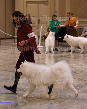 SCA2023_WK SWPS D-NOVICE-7551