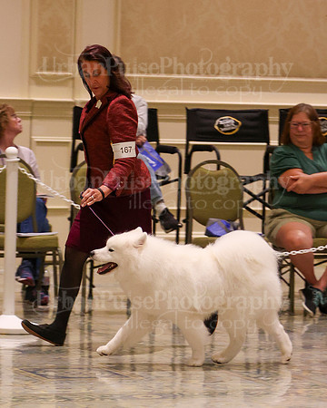 SCA2023_WK SWPS D-NOVICE-7560