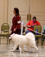 SCA2023_WK SWPS D-NOVICE-7563