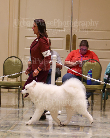 SCA2023_WK SWPS D-NOVICE-7563