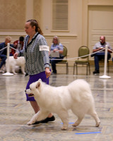 SCA2023_WK SWPS D-NOVICE-7569