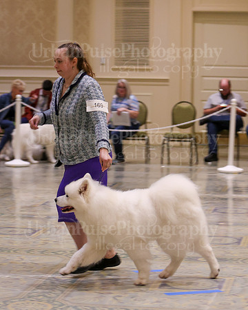 SCA2023_WK SWPS D-NOVICE-7569