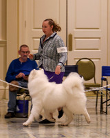 SCA2023_WK SWPS D-NOVICE-7578