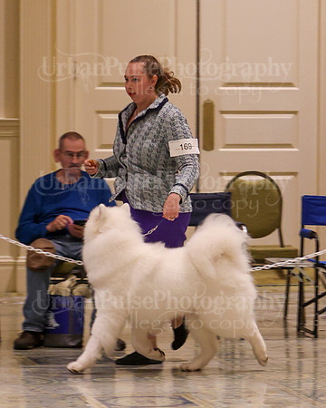 SCA2023_WK SWPS D-NOVICE-7578
