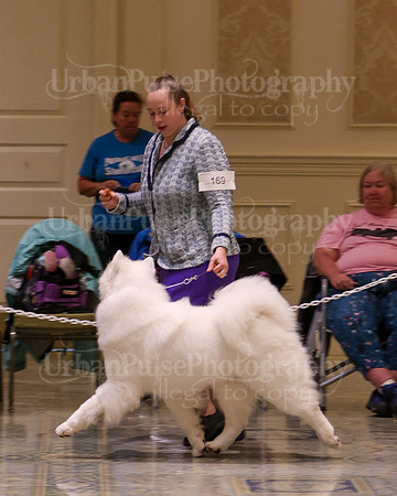 SCA2023_WK SWPS D-NOVICE-7581
