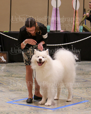 SCA2023_WK SWPS D-NOVICE-7584