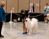 SCA2023_WK SWPS D-NOVICE-7585