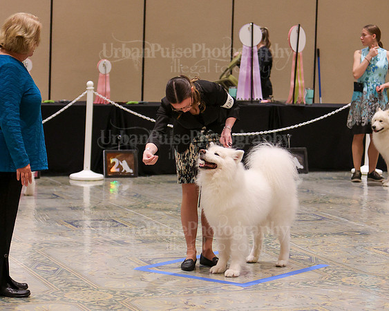 SCA2023_WK SWPS D-NOVICE-7585