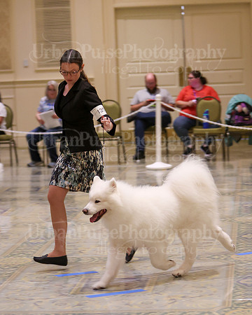 SCA2023_WK SWPS D-NOVICE-7588