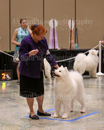 SCA2023_WK SWPS D-NOVICE-7598
