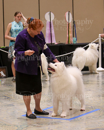 SCA2023_WK SWPS D-NOVICE-7599