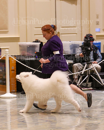 SCA2023_WK SWPS D-NOVICE-7609