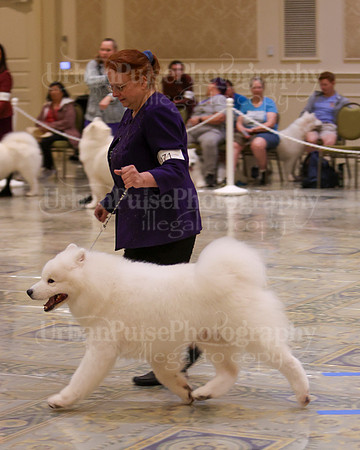 SCA2023_WK SWPS D-NOVICE-7606
