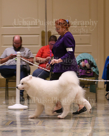 SCA2023_WK SWPS D-NOVICE-7614