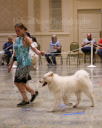 SCA2023_WK SWPS D-NOVICE-7618