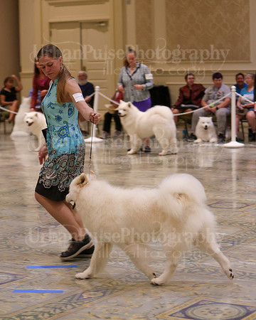 SCA2023_WK SWPS D-NOVICE-7622