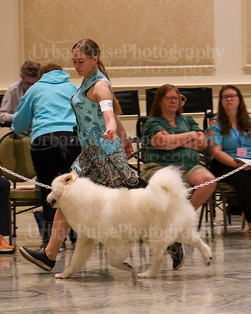 SCA2023_WK SWPS D-NOVICE-7627