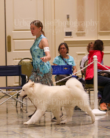 SCA2023_WK SWPS D-NOVICE-7629