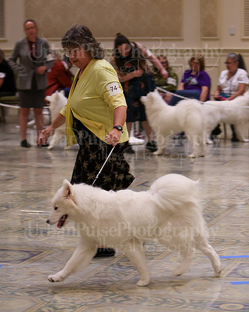 SCA2023_WK SWPS B-NOVICE-8248