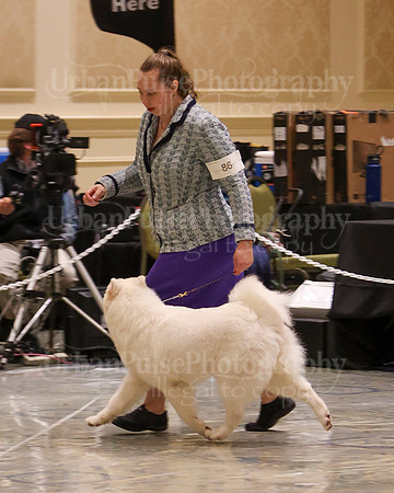 SCA2023_WK SWPS B-NOVICE-8260