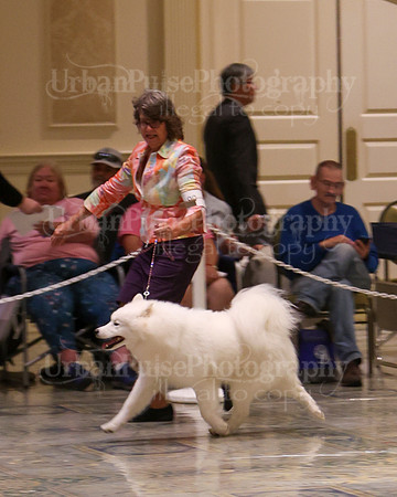 SCA2023_WK SWPS B-NOVICE-8278