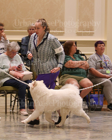 SCA2023_WK SWPS B-NOVICE-8263
