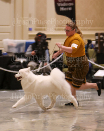 SCA2023_WK SWPS B-NOVICE-8282