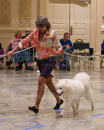 SCA2023_WK SWPS B-NOVICE-8271