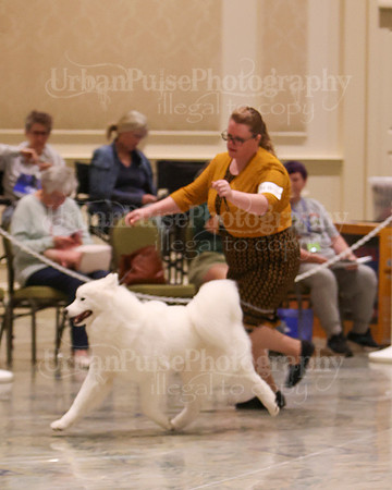 SCA2023_WK SWPS B-NOVICE-8284
