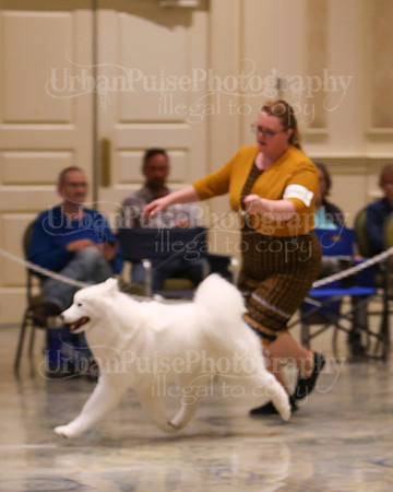 SCA2023_WK SWPS B-NOVICE-8285