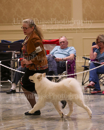 SCA2023_WK SWPS B-NOVICE-8298
