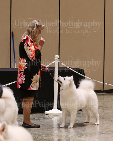 SCA2023_WK SWPS B-NOVICE-8309