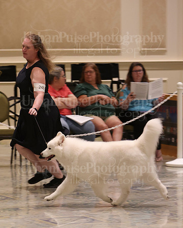 SCA2023_WK SWPS B-ADVANCED-8948