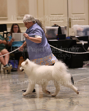 SCA2023_WK SWPS B-ADVANCED-8953