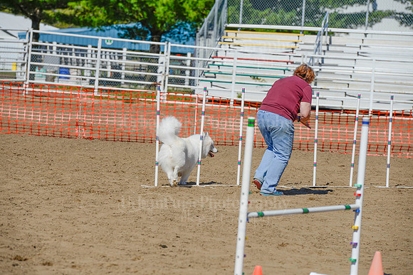 AGILITY-2324