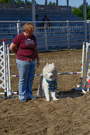 AGILITY-2243