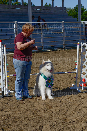 AGILITY-2238