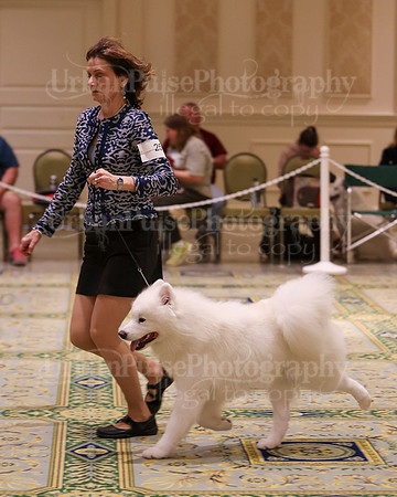 SCA2023_D9-12-3176