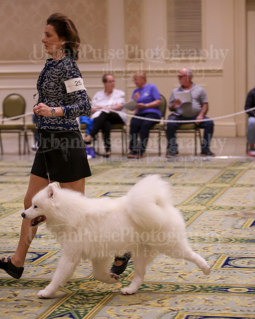 SCA2023_D9-12-3179