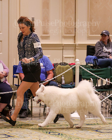 SCA2023_D9-12-3185