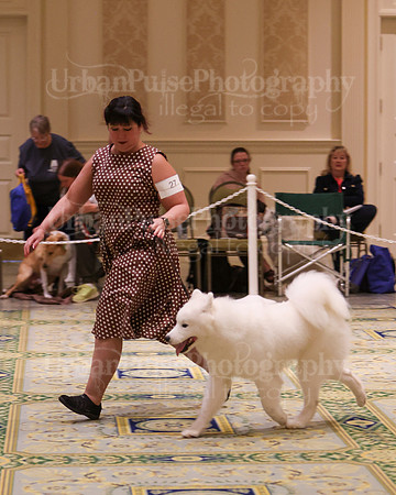 SCA2023_D9-12-3191