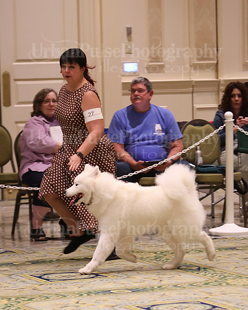 SCA2023_D9-12-3205