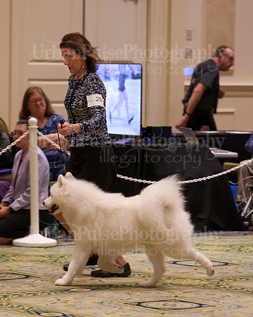 SCA2023_D9-12-3287