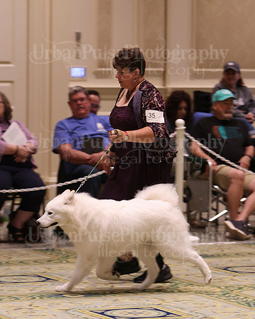 SCA2023_D9-12-3315