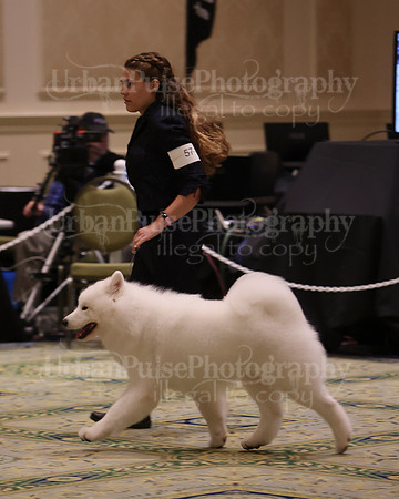 SCA2023_D12-18-3342