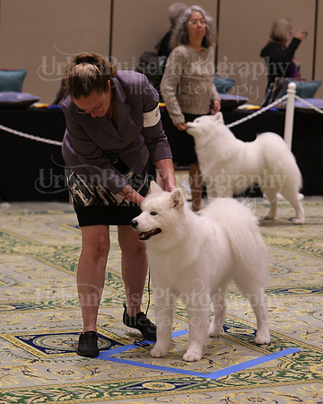 SCA2023_D12-18-3355
