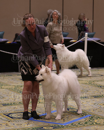 SCA2023_D12-18-3357