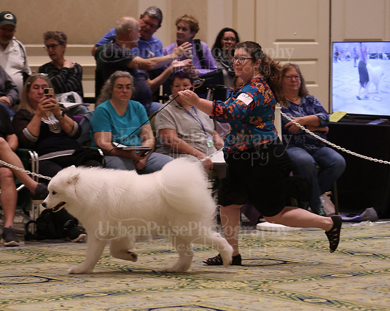SCA2023_D12-18-3352
