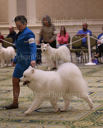 SCA2023_D12-18-3406