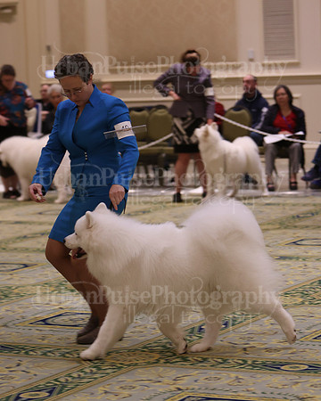 SCA2023_D12-18-3408